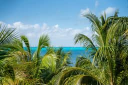 Caribbean Vibes | 4BR | Beachfront, Pool & Relax - Image 3