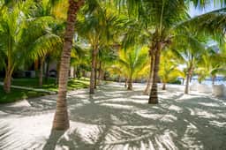 Caribbean Vibes | 4BR | Beachfront, Pool & Relax - Image 4
