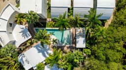 Casa Palma - 2BR - Pool, Palms & Paradise - Image 3