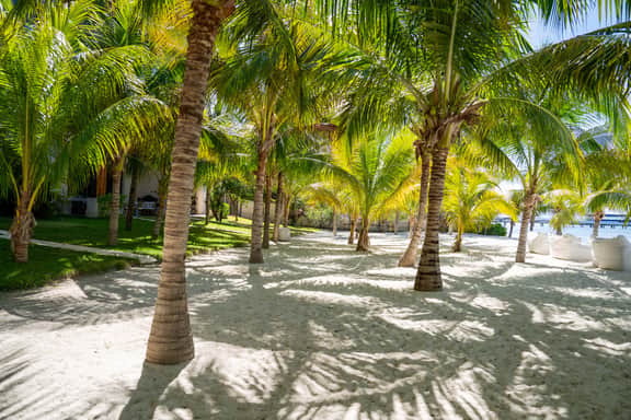 Caribbean Vibes | 4BR | Beachfront, Pool & Relax - Image 4