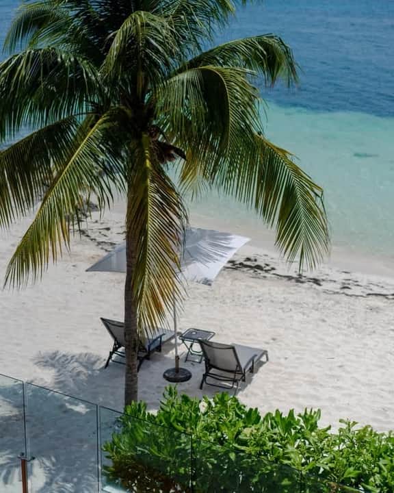 Villa Langosta | 6BR | Luxury Beachfront Stay - Image 4